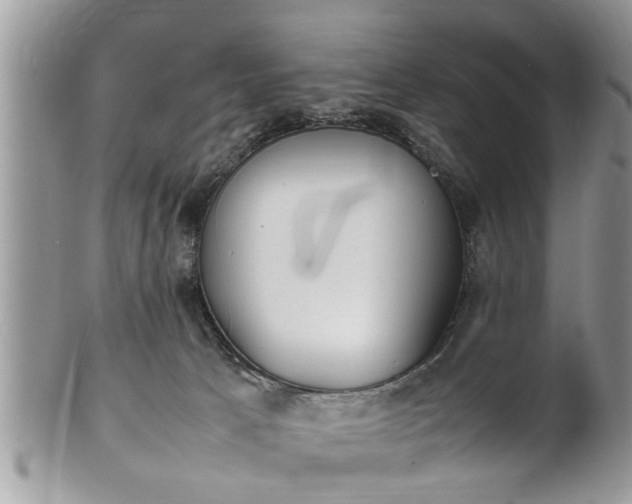 X0000101220033200807071358