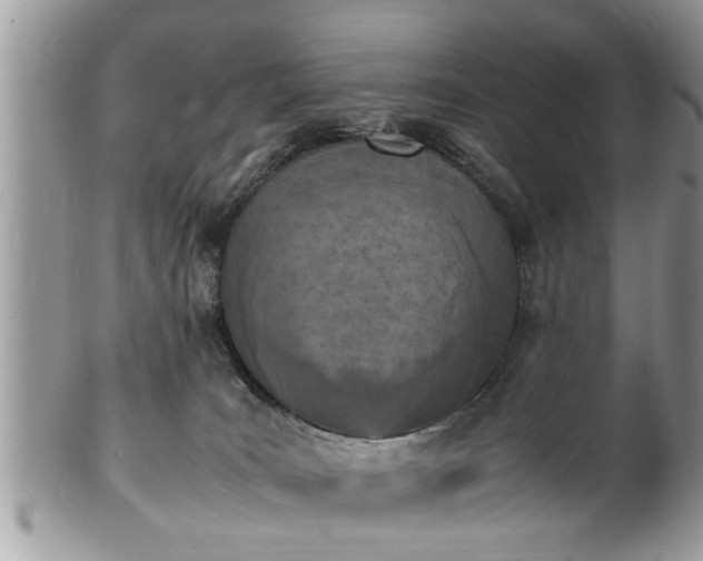 X0000101220035200807071358
