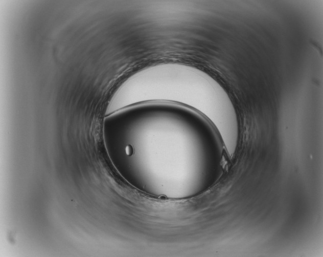 X0000101220036200807071358