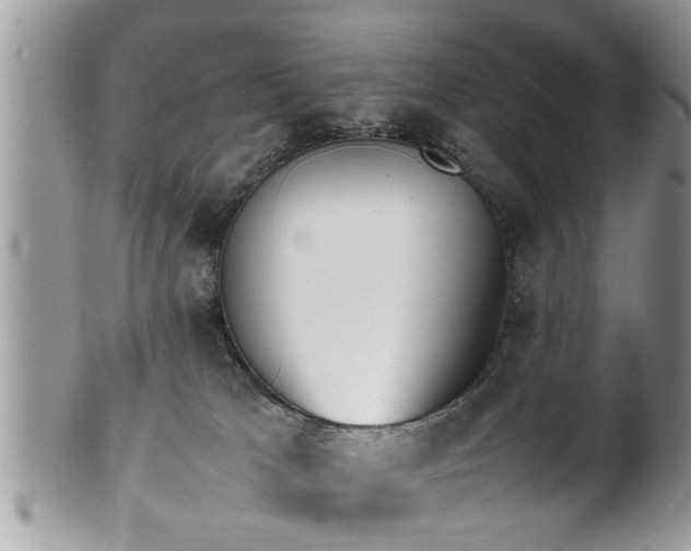 X0000101220037200807071358