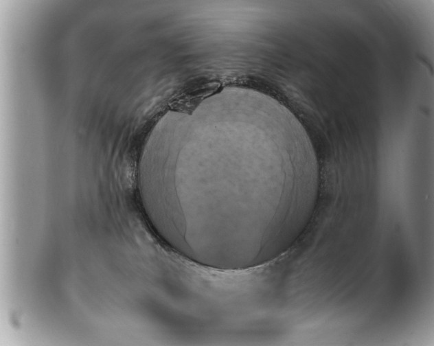 X0000101220039200807071358