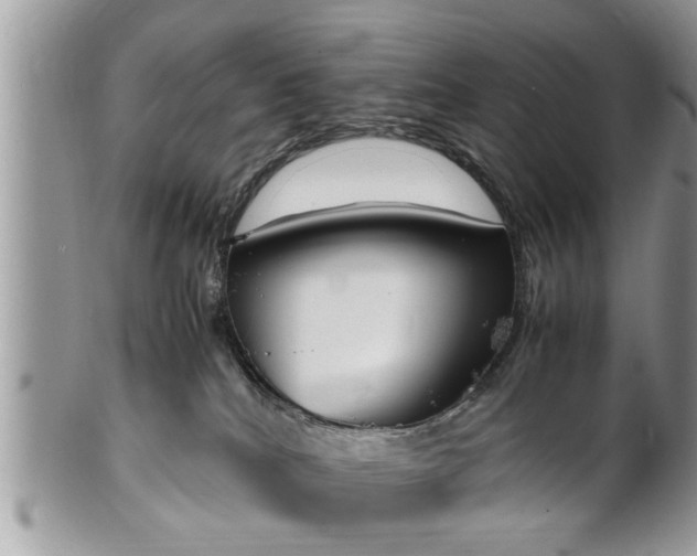 X0000101220040200807071358