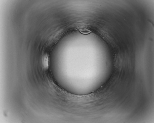 X0000101220042200807071358