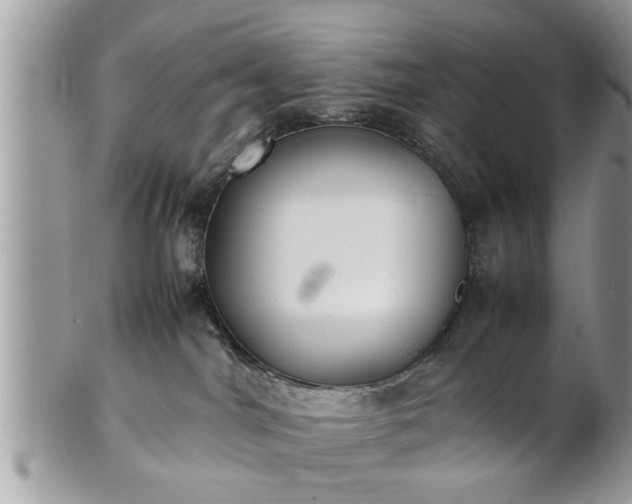 X0000101220044200807071358
