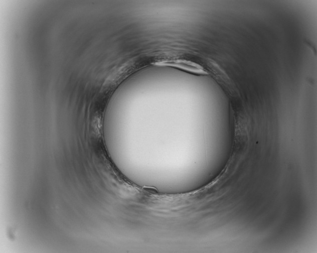 X0000101220045200807071358