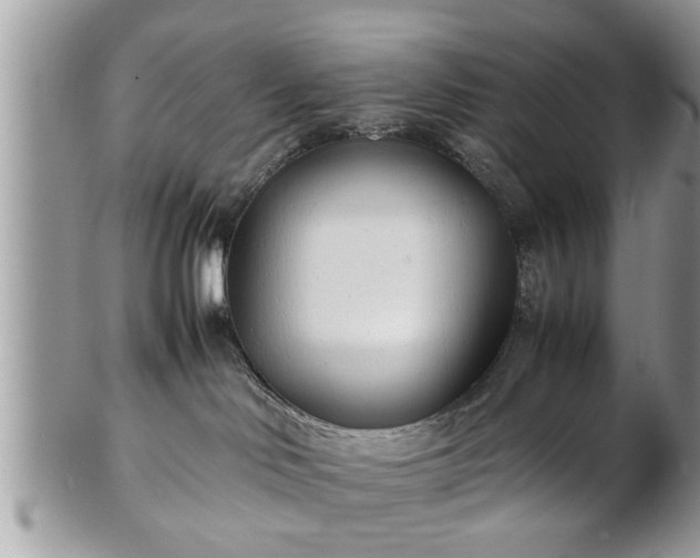 X0000101220046200807071358
