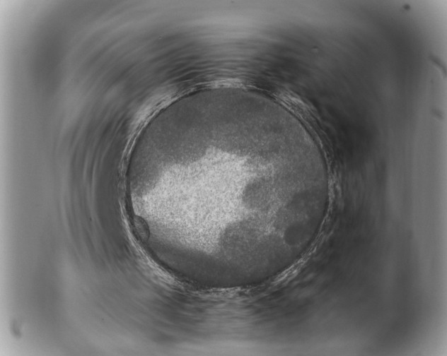 X0000101220049200807071357