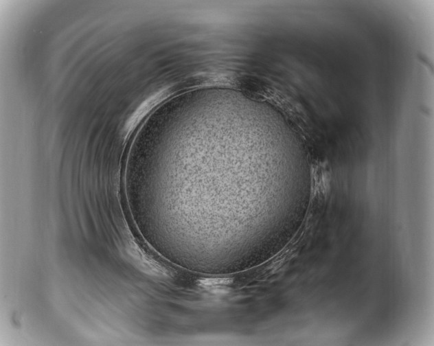 X0000101220051200807071357