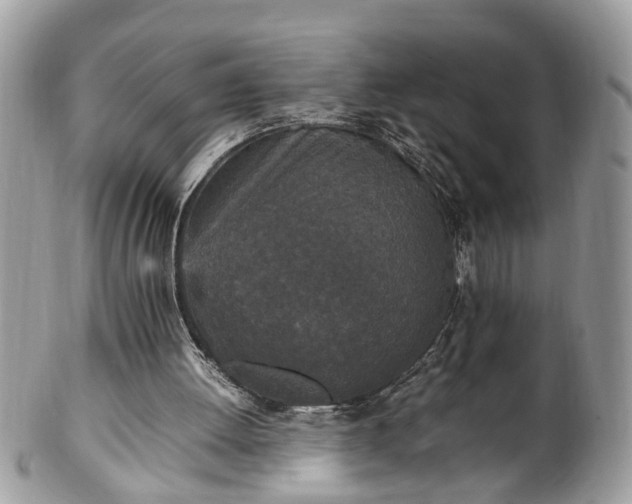X0000101220052200807071357