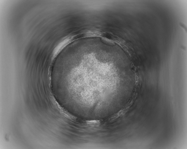 X0000101220053200807071357