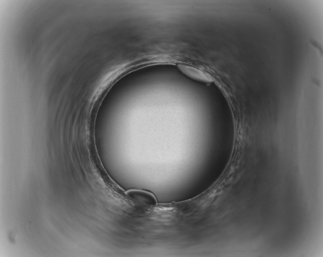 X0000101220055200807071357