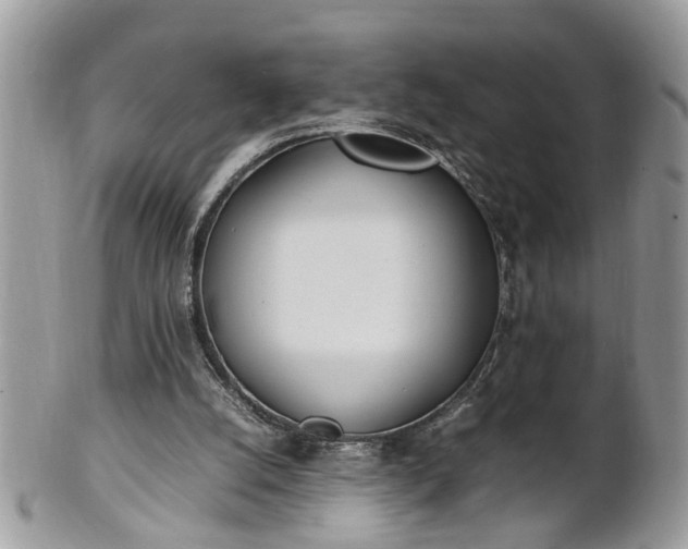 X0000101220056200807071357