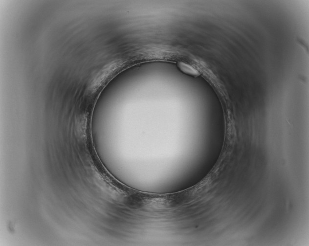 X0000101220058200807071357