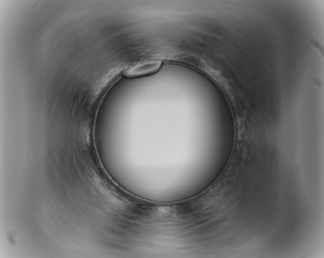 X0000101220060200807071357