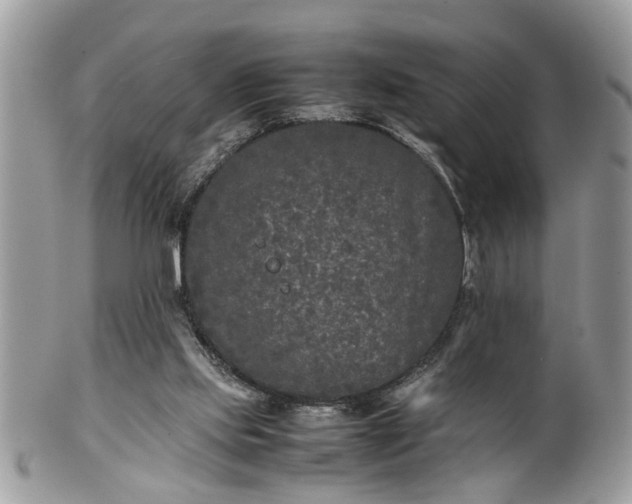 X0000101220061200807071357