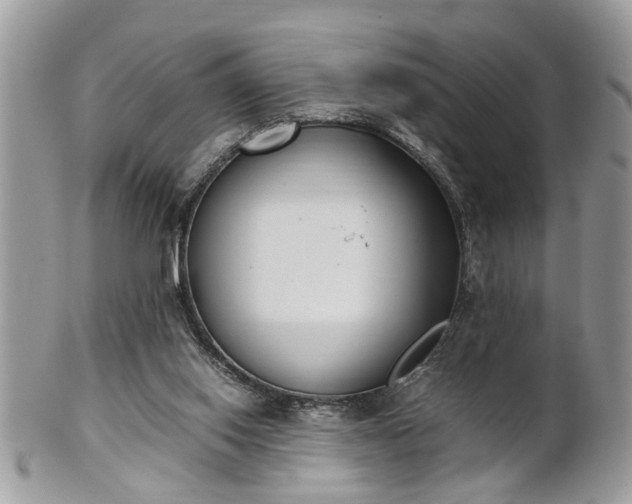 X0000101220062200807071357