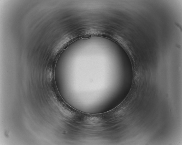 X0000101220063200807071357