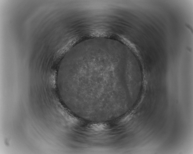 X0000101220065200807071357