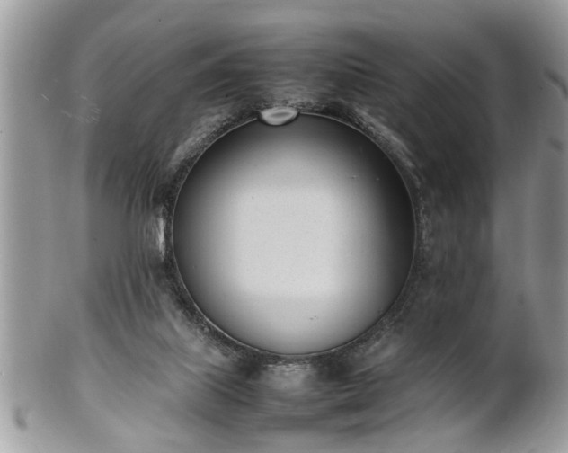 X0000101220067200807071357