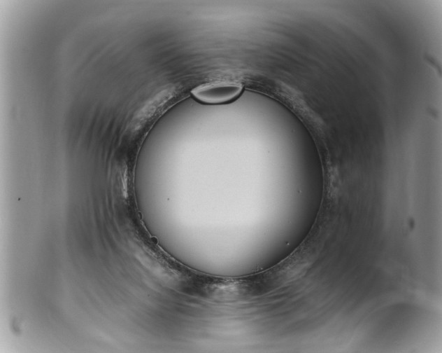 X0000101220068200807071357
