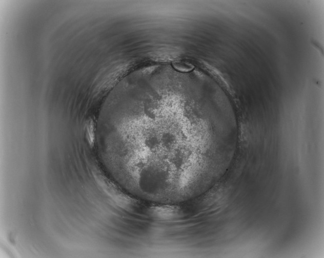 X0000101220069200807071357