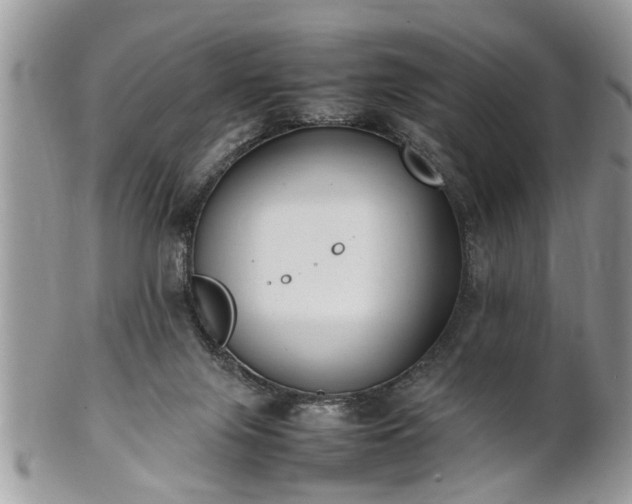 X0000101220071200807071357