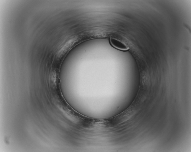 X0000101220072200807071357