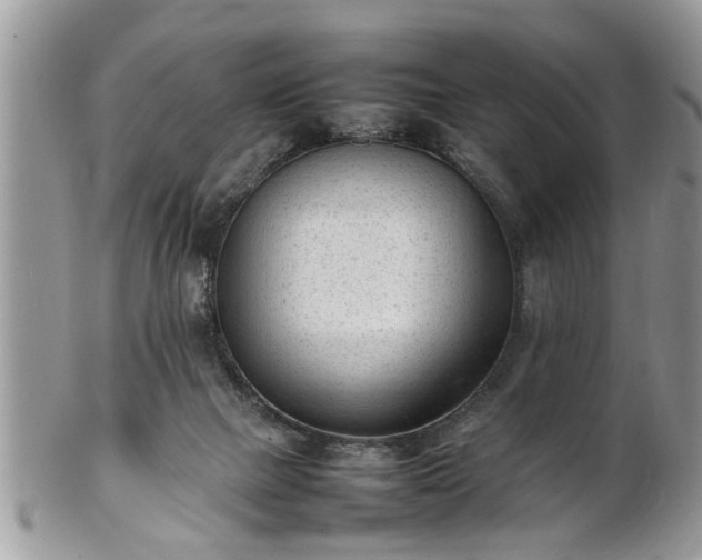 X0000101220073200807071357