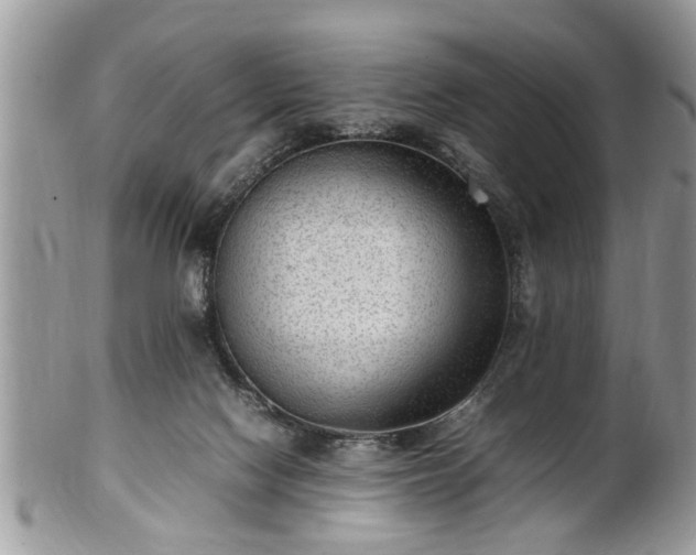 X0000101220074200807071357
