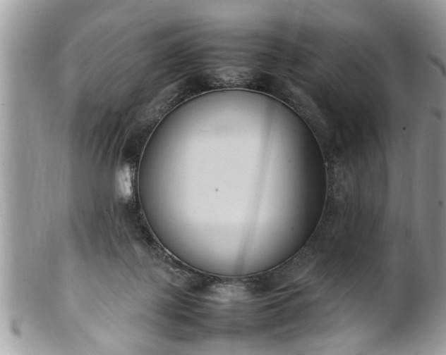 X0000101220075200807071357