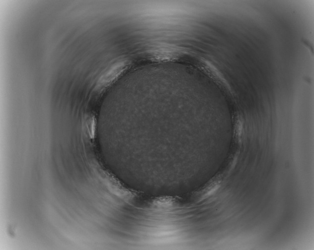 X0000101220076200807071357