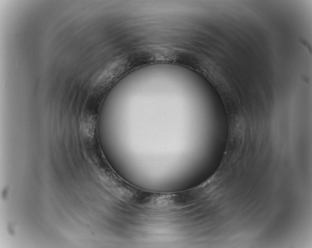 X0000101220078200807071358