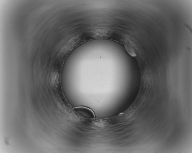X0000101220079200807071358