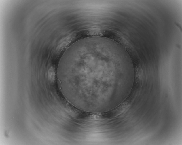 X0000101220080200807071358