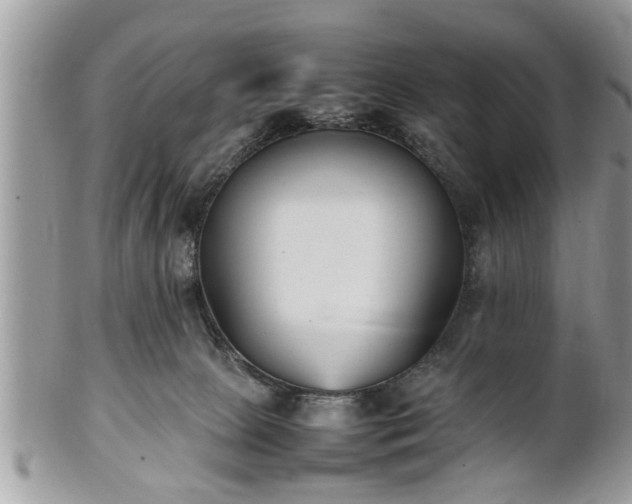 X0000101220081200807071358