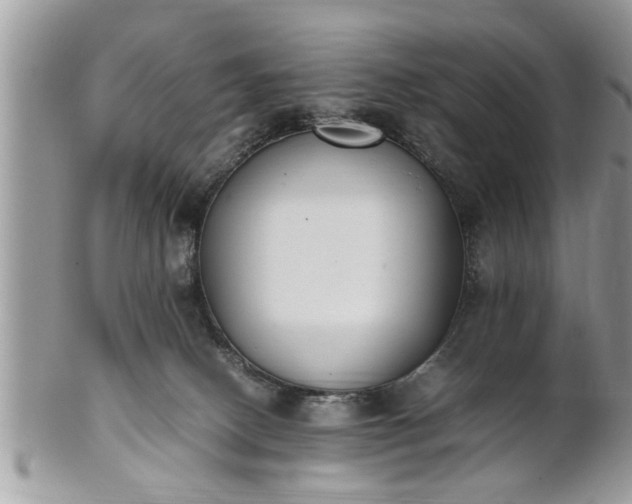 X0000101220082200807071358