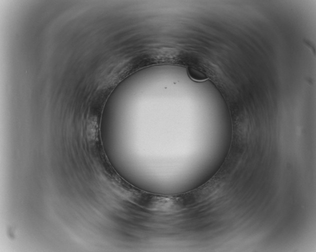 X0000101220083200807071358