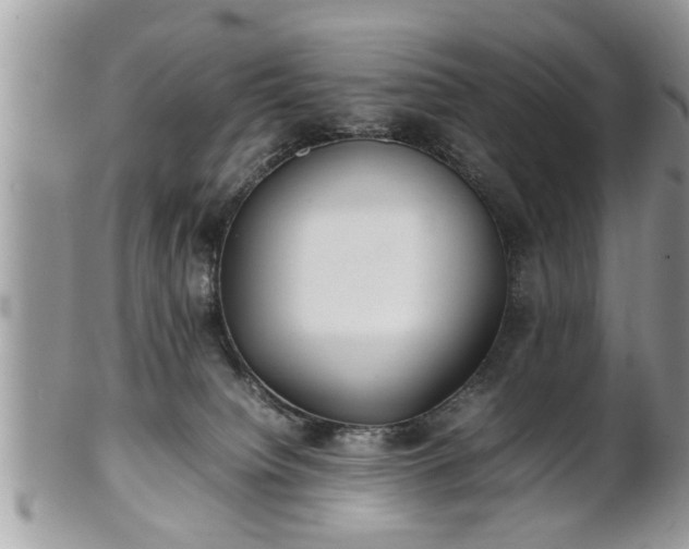 X0000101220084200807071358
