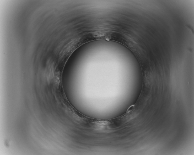 X0000101220085200807071358
