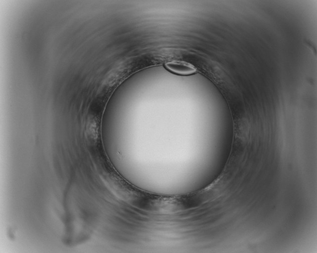 X0000101220086200807071358