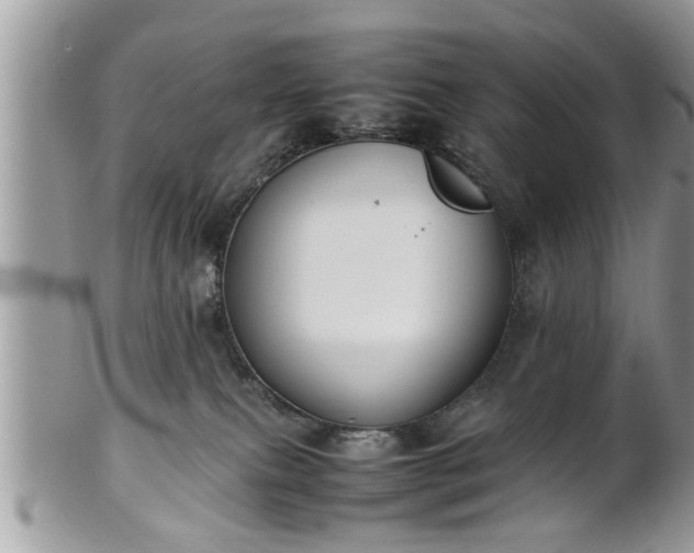 X0000101220087200807071358