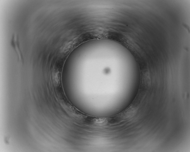 X0000101220088200807071358