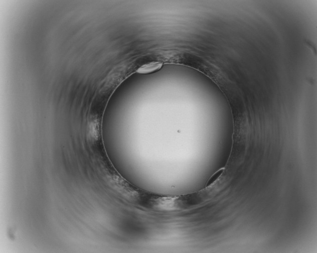 X0000101220090200807071358