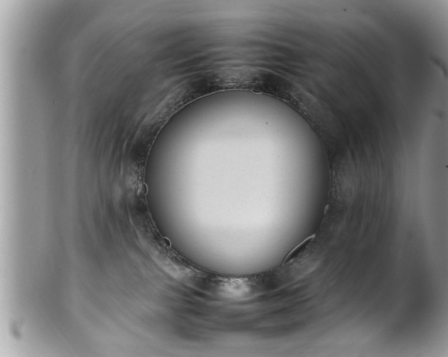 X0000101220091200807071358