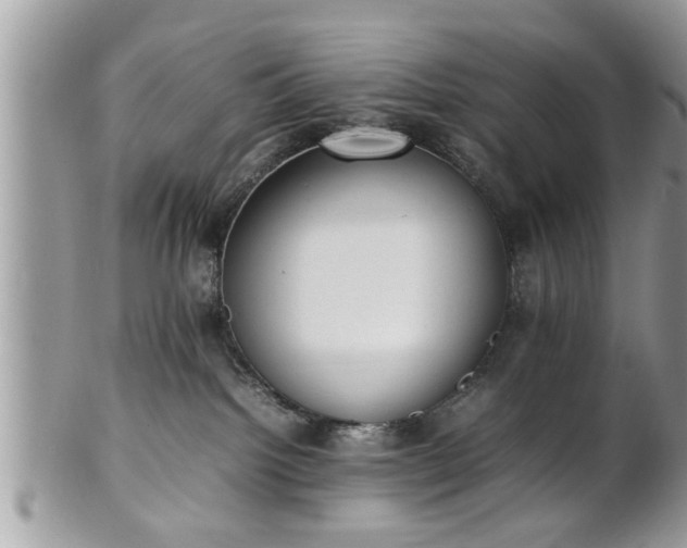X0000101220092200807071358
