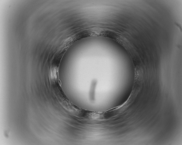 X0000101220094200807071358