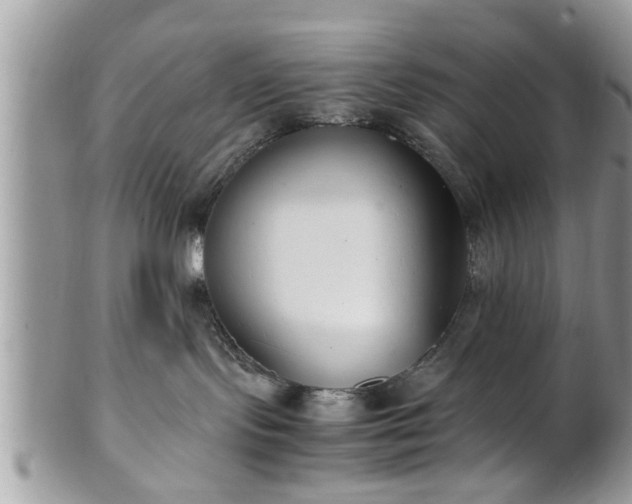 X0000101220095200807071358