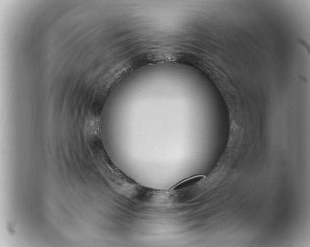 X0000101220096200807071358