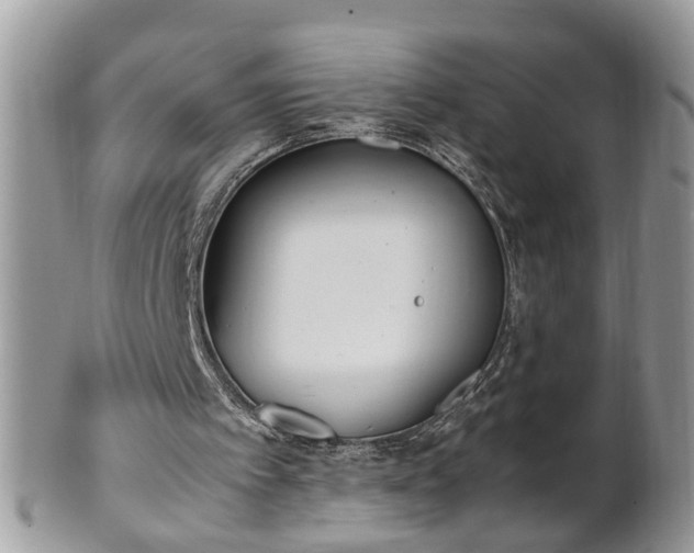 X0000101220097200807071357