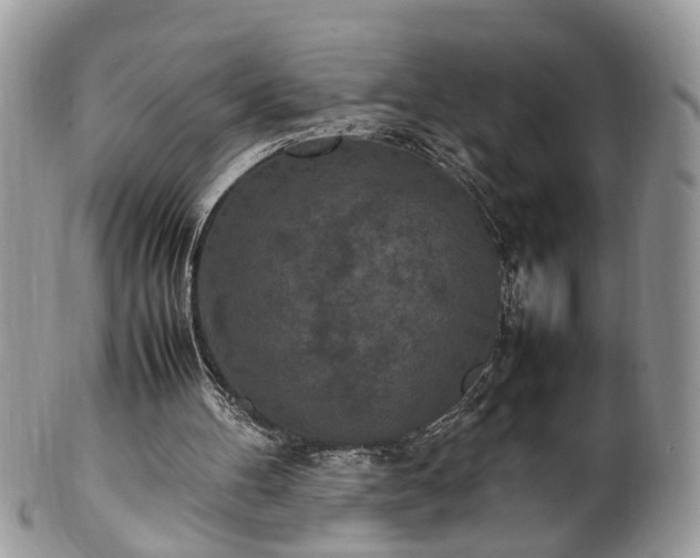 X0000101220100200807071357